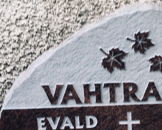 kiviraie